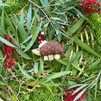 Aussie Animal Ornaments