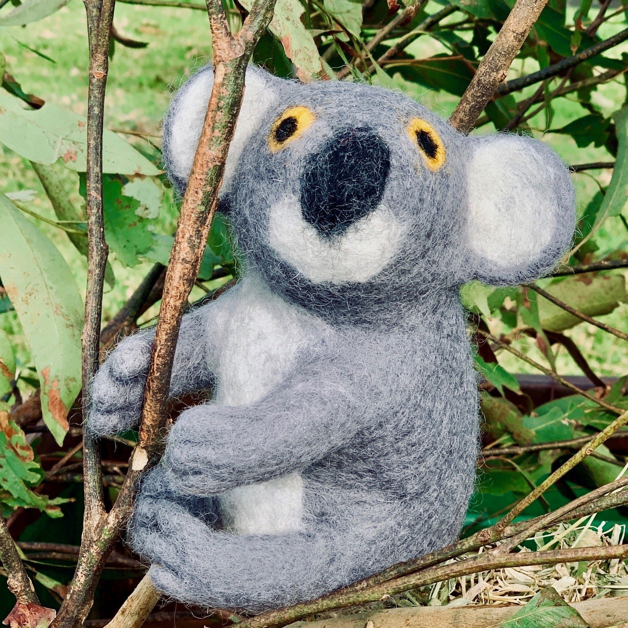 Koala Doll